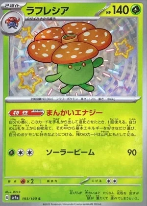 ラフレシアS
