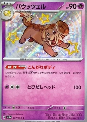 バウッツェルS