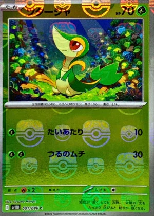ツタージャ マスボミラー