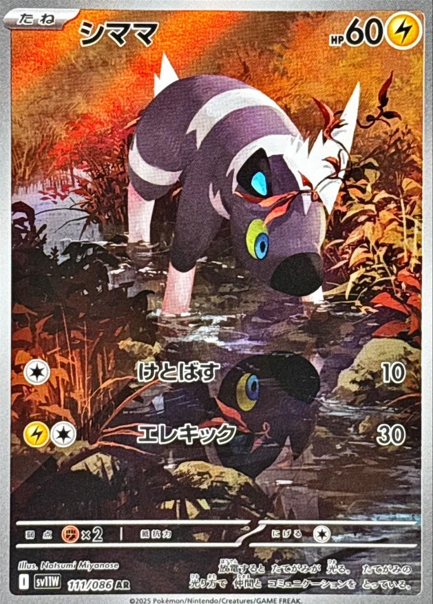 シママ AR