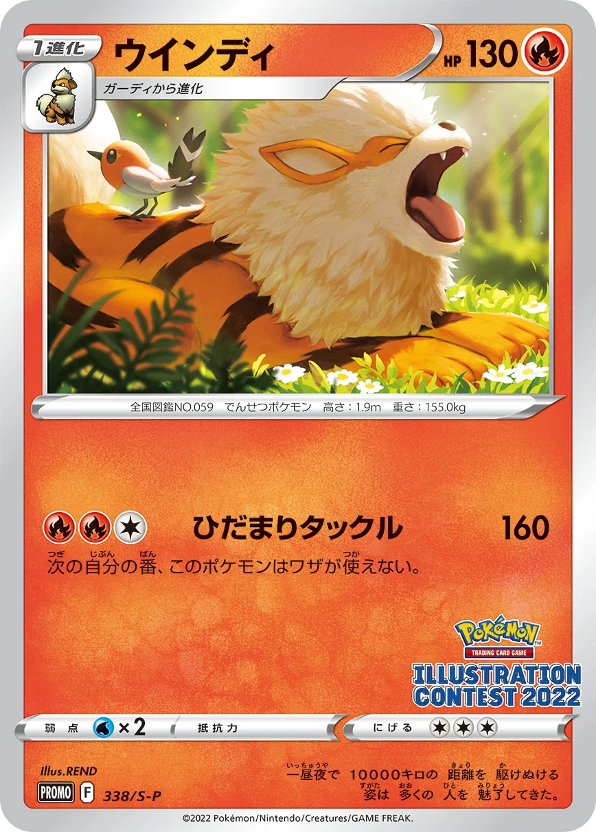 ウィンディ P
