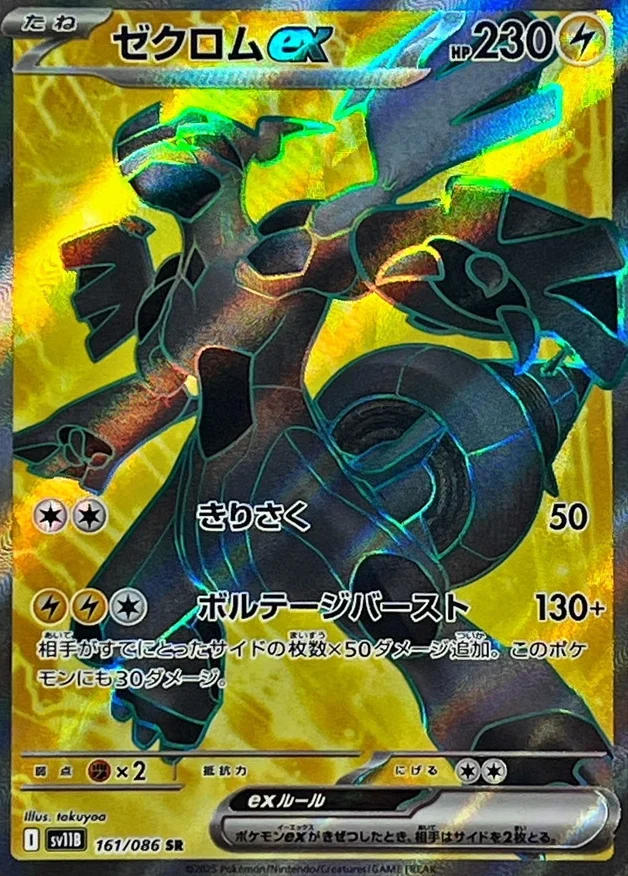 ゼクロムex SR