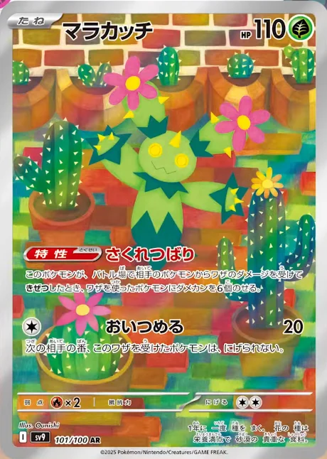 マラカッチAR