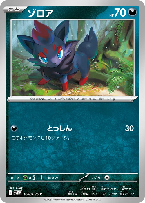 ゾロア