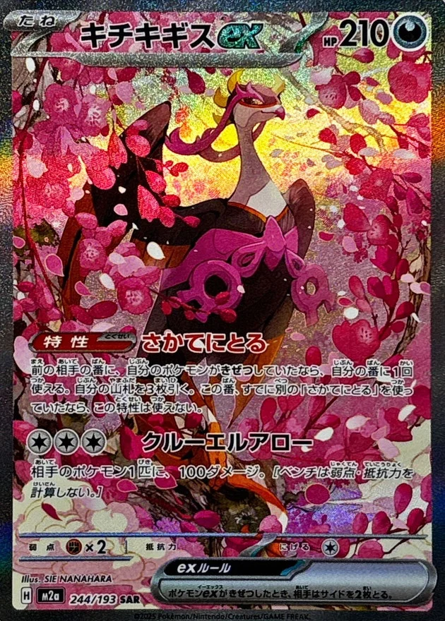 キチキギスex SAR